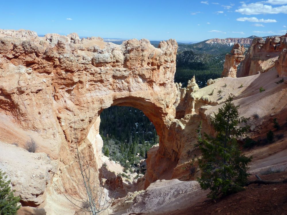 bryce canyon (170).JPG